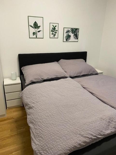 Paky Appartements 00322 บรุคอันแดร์ไลทา ภายนอก รูปภาพ
